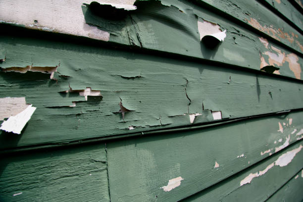 Affordable Siding Repair and Maintenance Services in Limestone Creek, FL